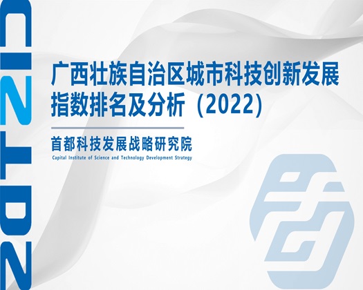 暴操欧美逼【成果发布】广西壮族自治区城市科技创新发展指数排名及分析（2022）